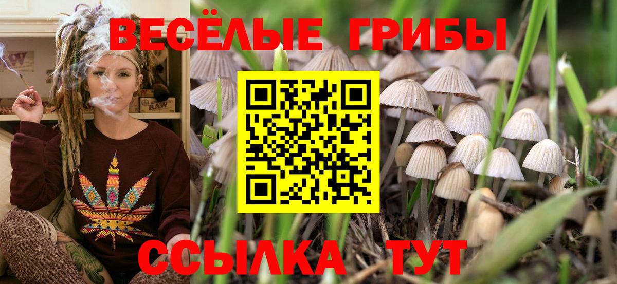 Псилоцибиновые грибы Psilocybe  Галлюциногенные грибы мицелий  как найти   Анжеро-Судженск  Вход с VPN 